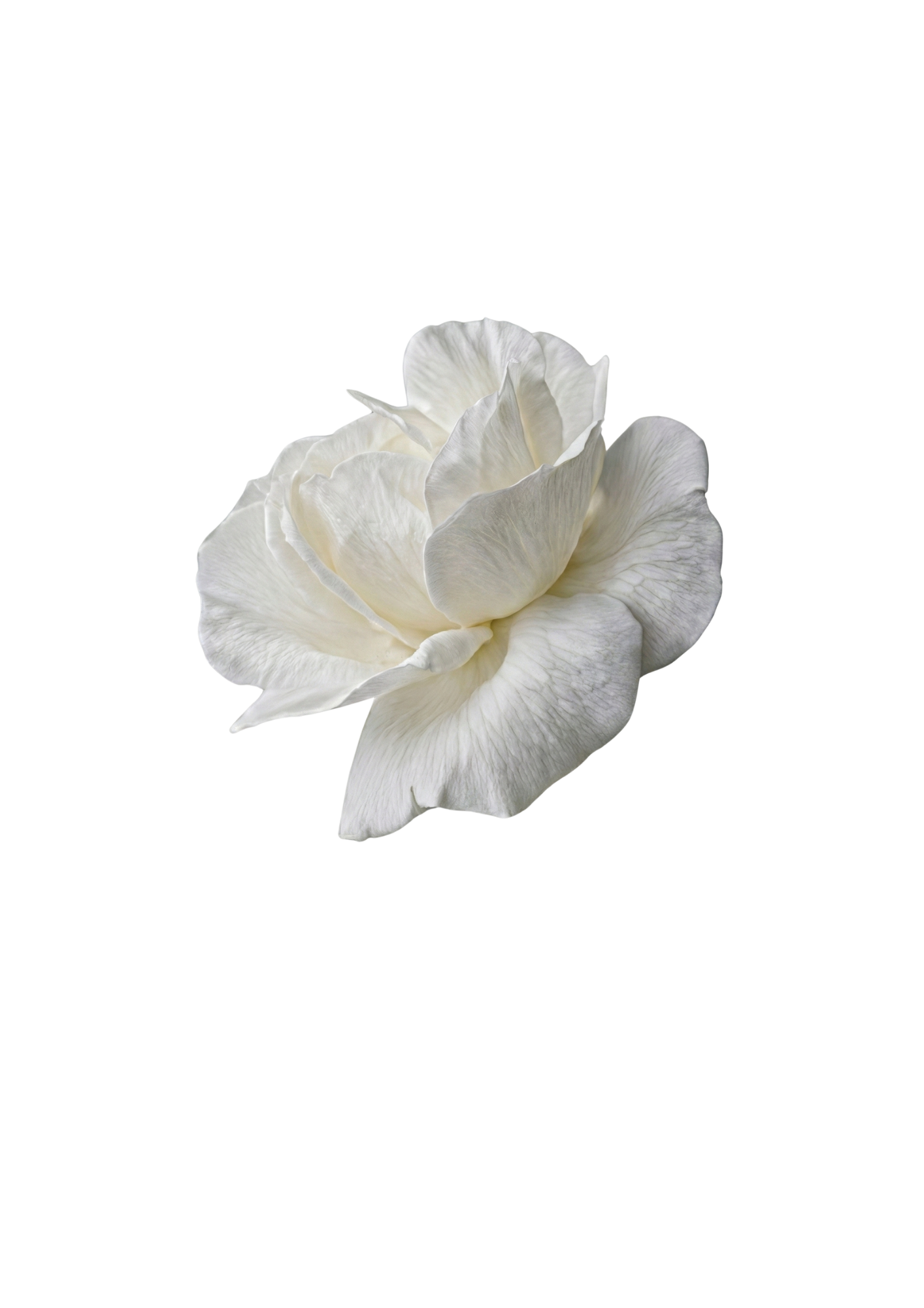 Decorative flower
